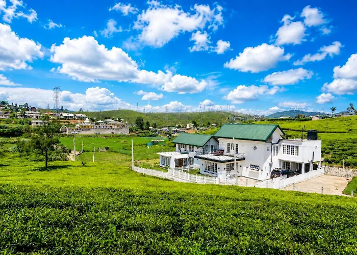 Villa Tea Fields