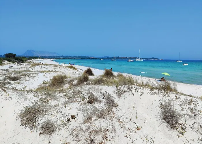 Es Revellar Art Resort - Adults Only