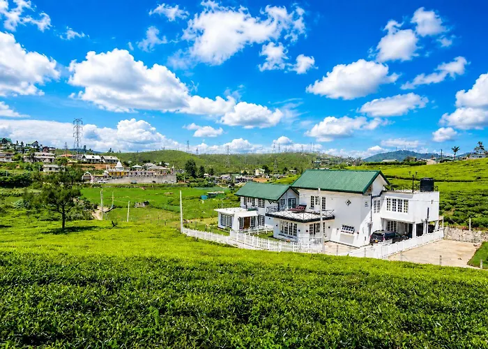 Villa Tea Fields