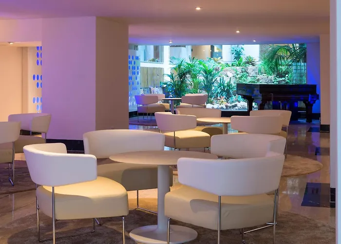 Animaux admis Palma Bellver, Affiliated By Melia