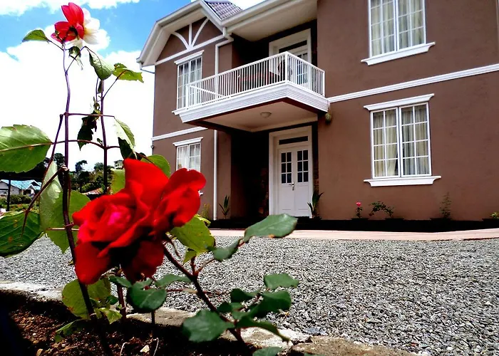 Guest house: Global Rest Inn