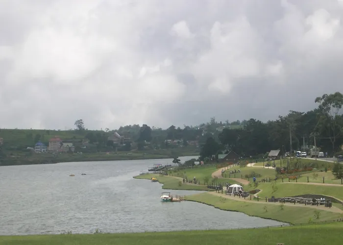 Guest house: New Tour Inn