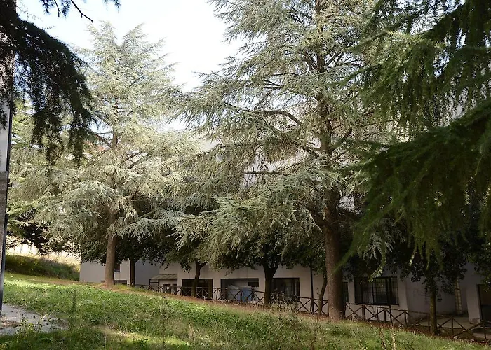  B&B Europa