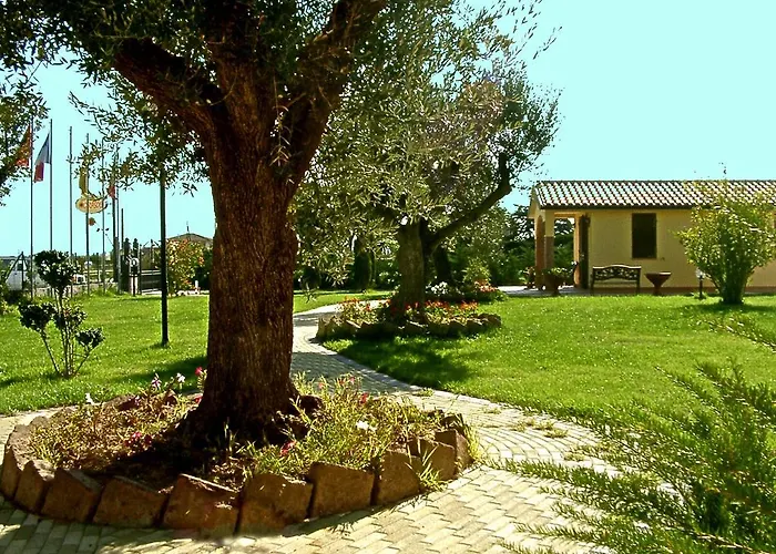 Il Girasole