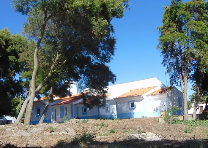 O Monte Das Flores