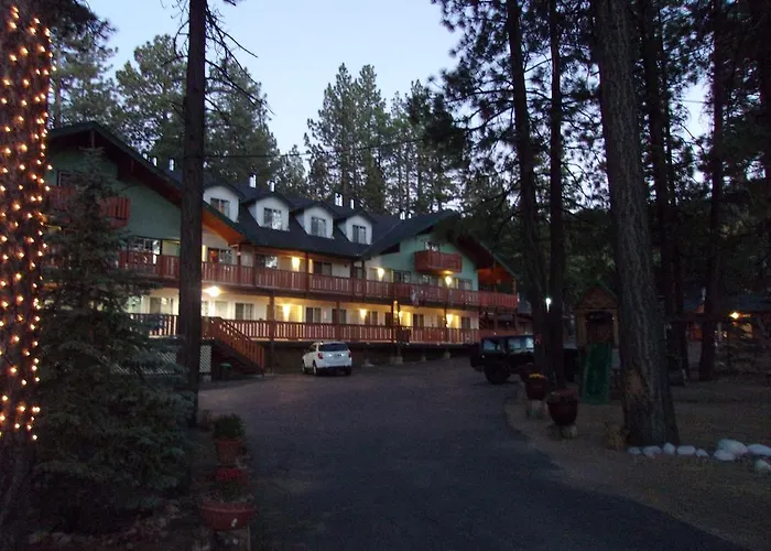 Honey Bear & Cabins
