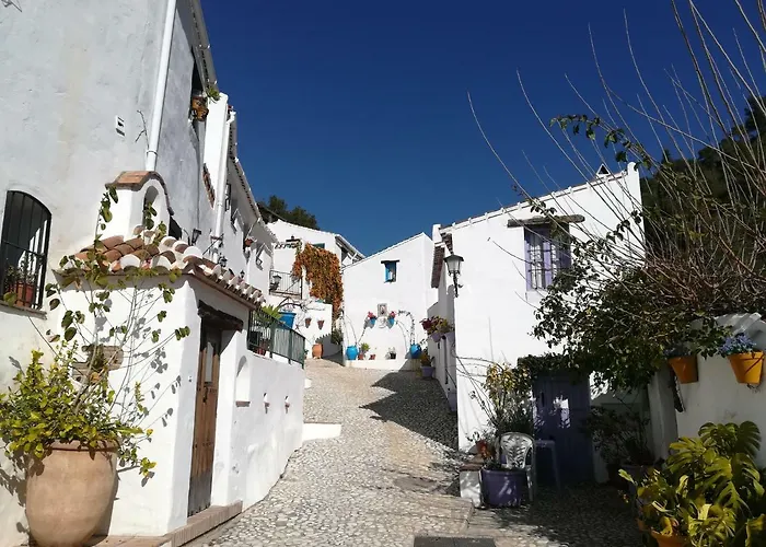 Casa Ayo