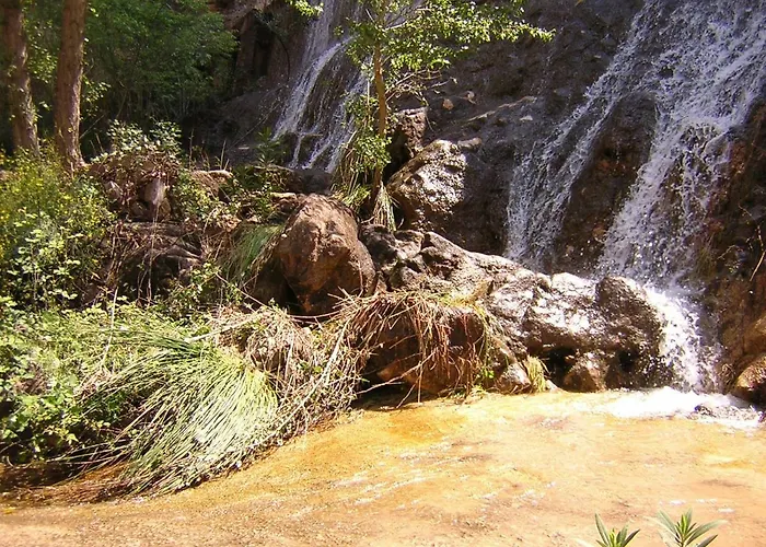 La Tia Rosa