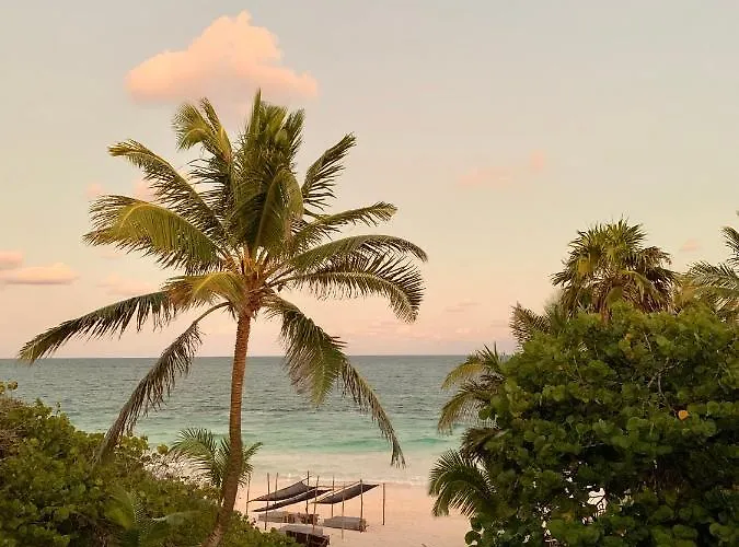 Libelula Beachfront
