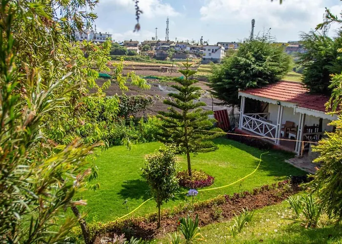 Pine View Stay Ooty